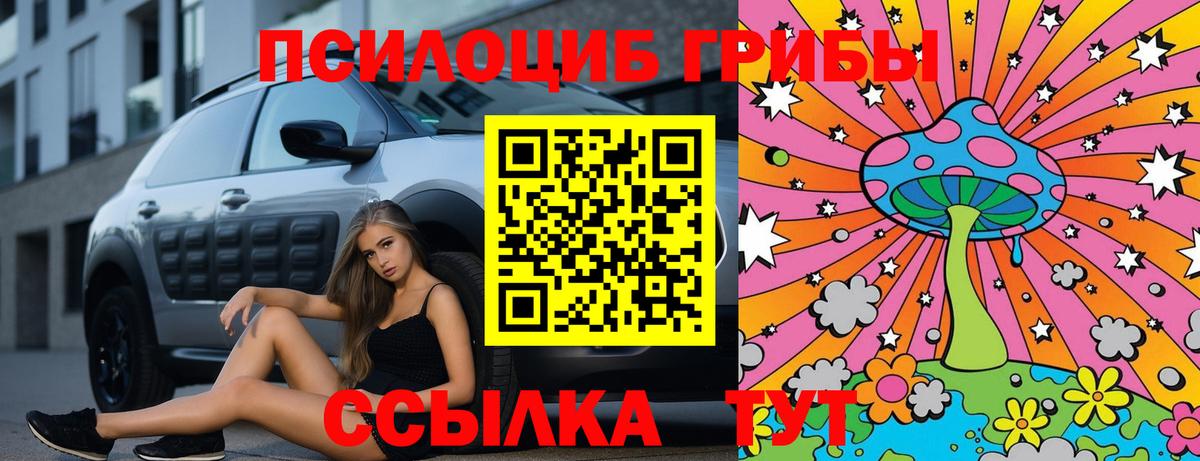 Ростов Великий  Псилоцибиновые грибы MAGIC MUSHROOMS  Вход с VPN  Псилоцибиновые грибы Psilocybine cubensis 